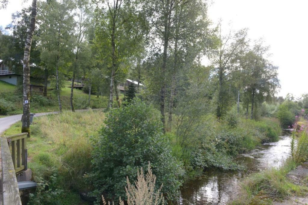 Chalet "A L Oree Du Bois" Bullange Exteriér fotografie