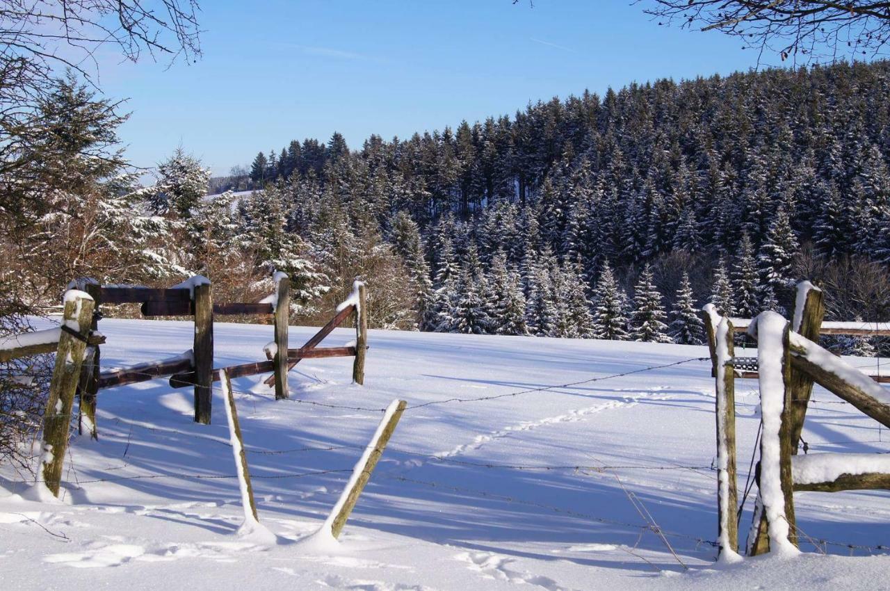 Chalet "A L Oree Du Bois" Bullange Exteriér fotografie